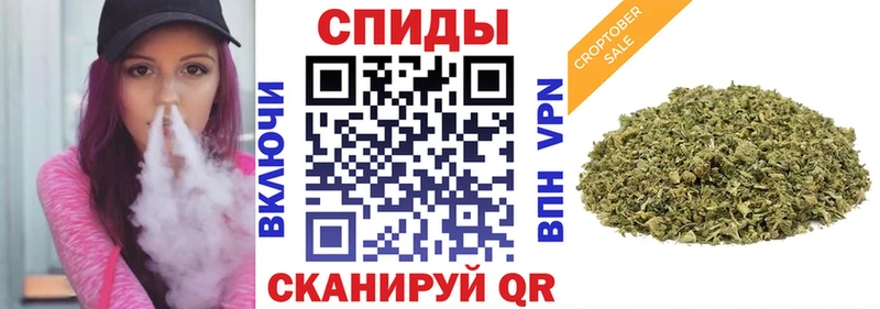 Купить где  Зеленогорск  БУТИРАТ BDO 33% 