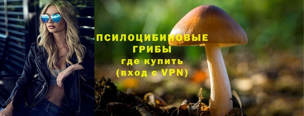 a pvp Заводоуковск