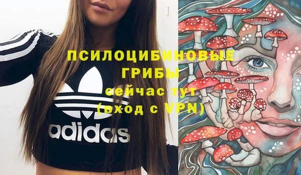 a pvp Заводоуковск